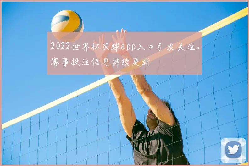 2022世界杯买球app入口引发关注,赛事投注信息持续更新