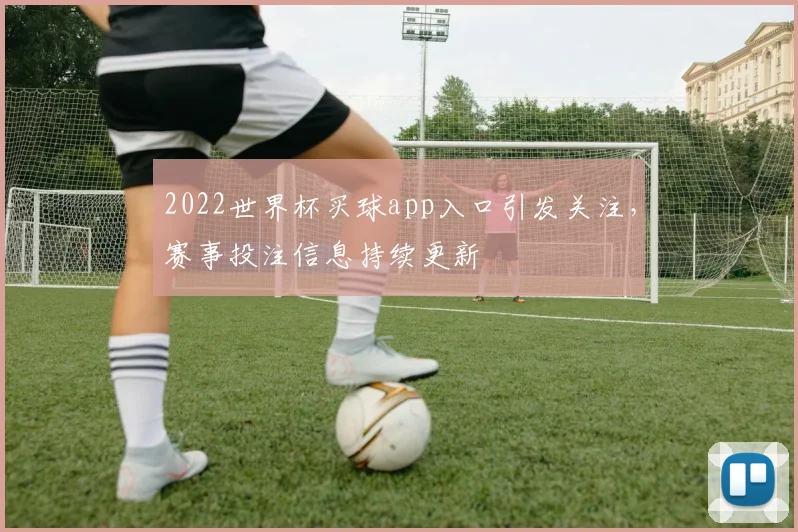 2022世界杯买球app入口引发关注,赛事投注信息持续更新