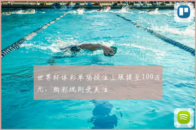 世界杯体彩单场投注上限提至100万元，购彩规则受关注