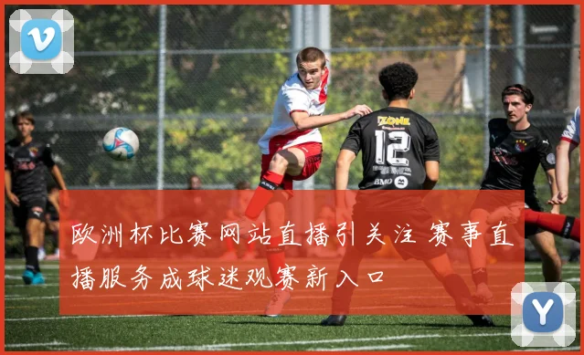 欧洲杯比赛网站直播引关注 赛事直播服务成球迷观赛新入口